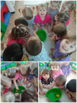Маленькие исследователи Маленькие исследователи.