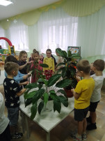 Дежурство в уголке природы Дежурство в уголке природы.