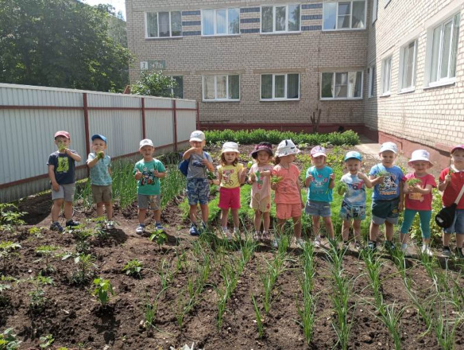 Мы сажали огород, что там только не растёт... Мы сажали огород, что там только не растёт... .